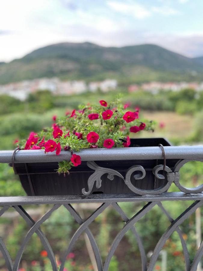 Petivat Gardens Apartman Kültér fotó