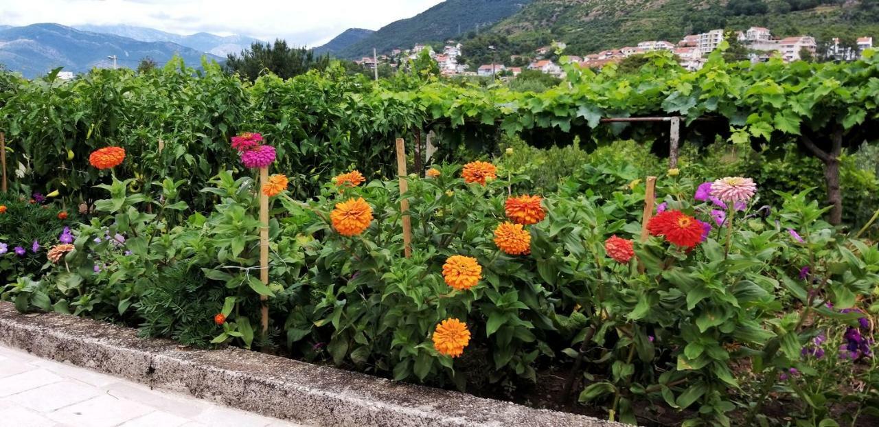 Petivat Gardens Apartman Kültér fotó